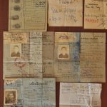 Cây cao su ở Việt Nam dưới góc nhìn Lịch sử - Sinh thái (1897 - 1975)