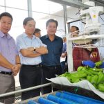 VRG có nhiều lợi thế phát triển nông nghiệp ứng dụng công nghệ cao quy mô lớn và bền vững