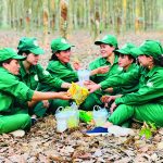 Ánh sáng từ dòng vàng trắng lần thứ VI - năm 2024