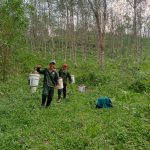 Nghĩa tình ở cao su Quảng Nam