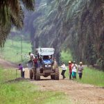 Sàn giao dịch carbon Malaysia tổ chức đấu giá tín dụng carbon địa phương đầu tiên vào tháng 7