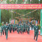 Phong trào luyện tay nghề - thi thợ giỏi lan tỏa sâu rộng
