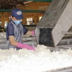 Nguy cơ thiếu hụt cao su toàn cầu trong năm 2025