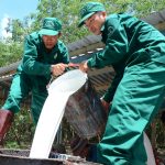 Đảng ủy VRG phát động đợt thi đua cao điểm năm 2025