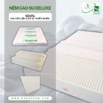 Nệm Đồng Phú ưu đãi đặc biệt nhân dịp 50 năm Giải phóng miền Nam