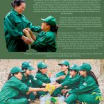 Vườn cao su: Nơi nảy mầm tình người giữa bạt ngàn xanh