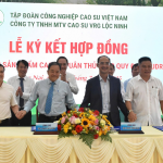 Cao su Lộc Ninh công bố sản phẩm tuân thủ EUDR