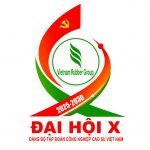 Thành tựu Đảng bộ VRG nhiệm kỳ 2020 - 2025